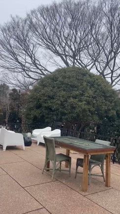 鎌倉だより　雪です☃️の記事動画