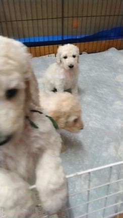 戻って来ました(^-^)の記事動画