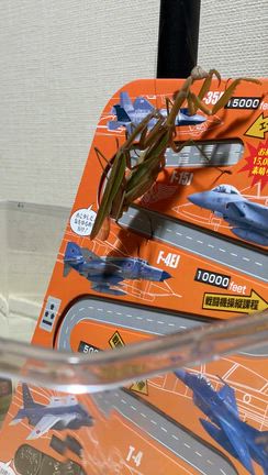 ミッドナイトピーピング開始！！秋も深まり、さらば昆虫たち。の記事動画