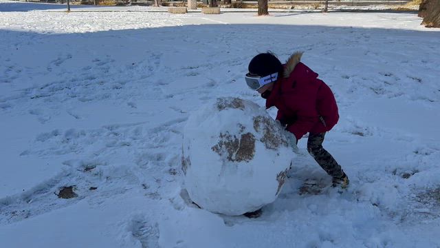え⁉️ここ大分よな？❄️ 雪だるまが作れた奇跡の朝の記事動画