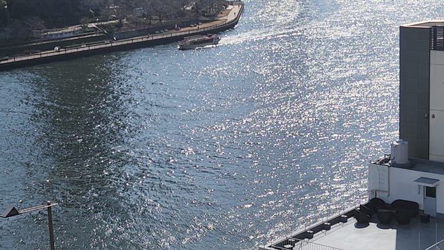 関東は春一番で初夏並みにの記事動画