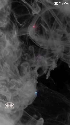 福袋予約開始♪の記事動画