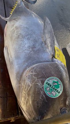 12月26日(金)の記事動画