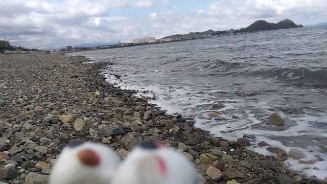 私用は、無し。の記事動画