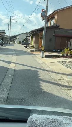 ラジオ体操愛好家の記事動画