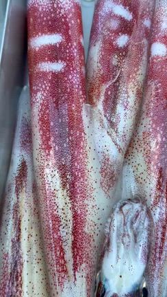 13日の記事動画