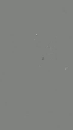 母親が撮ってくれた僕とえれちゃんの滑り！の記事動画