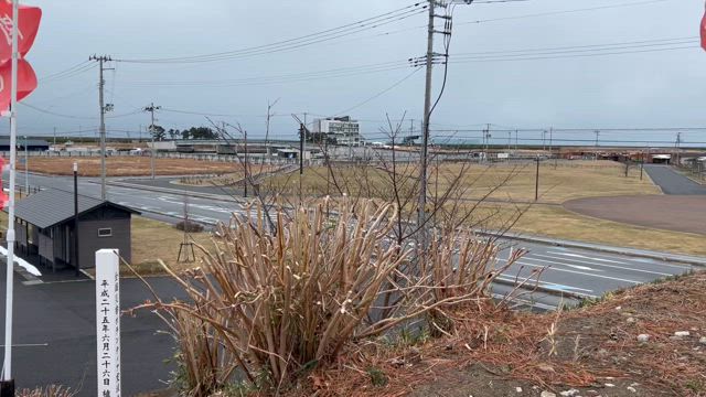 不動心の記事動画