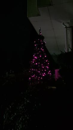 2バイト！の記事動画