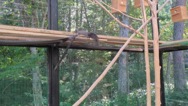 飛騨高山日帰りツーリングの記事動画
