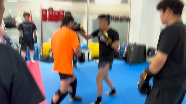 人気の豪クラス！の記事動画