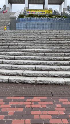 ジーザスの前に…ぴよぴよカモちゃん♡(動画あり)の記事動画