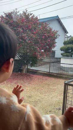 忘れないよう近況を記録の記事動画