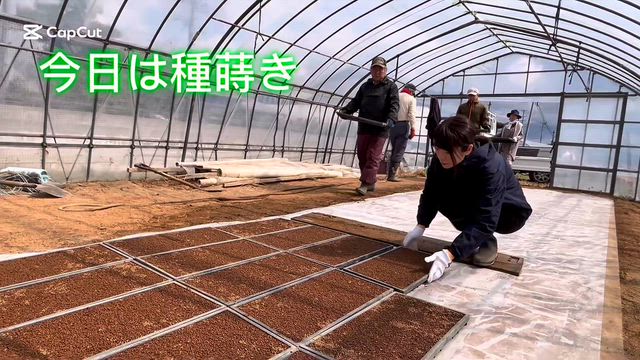 2025年もありがとうございました✨全ての皆さまに感謝をこめて過ごす大晦日の記事動画