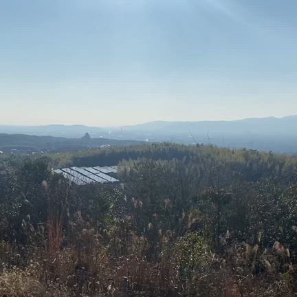 2024/02/13の記事動画