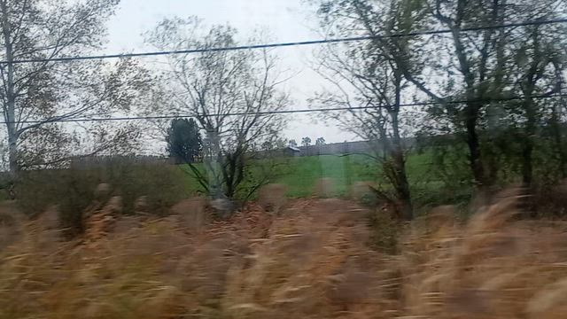 晩秋旅 2025 新札幌・ちょこっと帰勝の記事動画