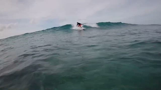 Be Hawai'ian 219の記事動画