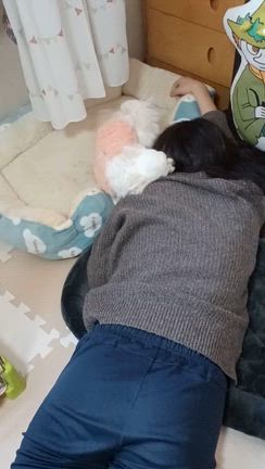 今年もよろしくお願いしますの記事動画