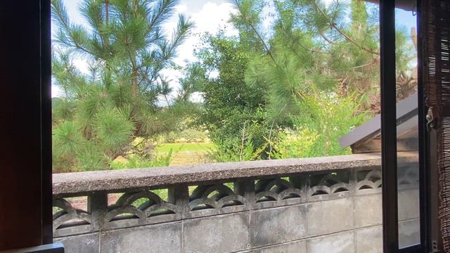 急に春雨サラダボウル食べたい謎☆彡2025/09/19の記事動画