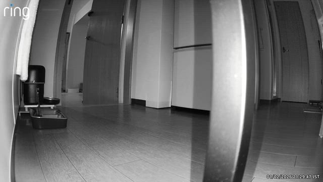 島根県民会館の記事動画