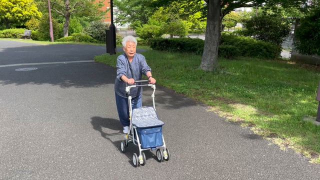 母の日の記事動画
