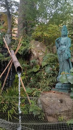 【デジタルデトックスしてきました♡】の記事動画