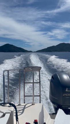 ★奄美大島③の記事動画