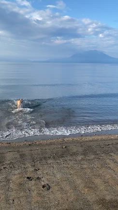やっとやっとキャンプに行けた③／国分キャンプ海水浴場の記事動画