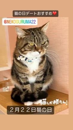 2024/02/21の記事動画