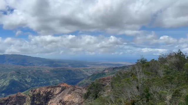 ウインドウショッピング、昨日の晩ごはんの記事動画