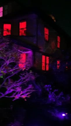 また来るよ！ハッピーハロウィンの記事動画