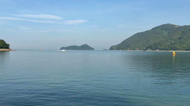 ニッコー、三谷産業申込みと横須賀海軍カレーの記事動画