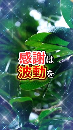 これやってると人生詰む！の記事動画