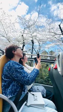 ★番外大人のプチ遠足編・可愛い赤バスで東京お花見ツアーの記事動画