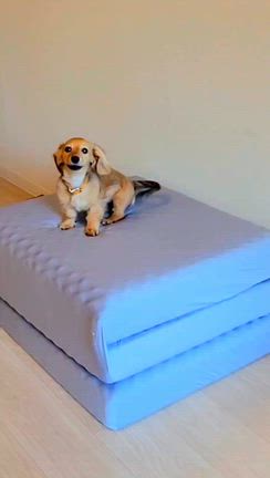 ふっくん布川さんのプロフィールページ