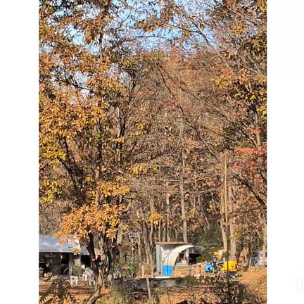 【関東】近くて遠い県②の記事動画