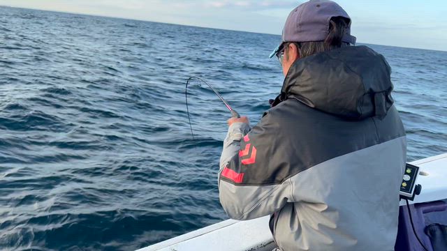 午後マダイ釣りは入れ食いモード♪の記事動画