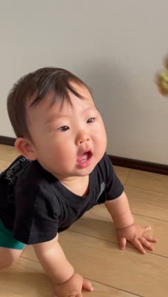 とんでもなく浮かれるご褒美の記事動画