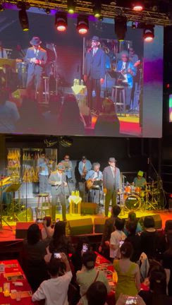 昨夜の記事動画