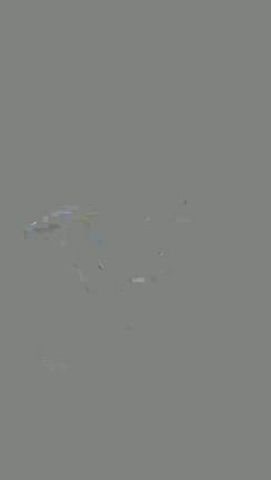 ちぃな生誕2025〜大人の夏休み〜の記事動画