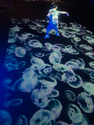 ユアン初の水族館への記事動画