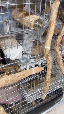 昨日のお話し　10月19日の記事動画