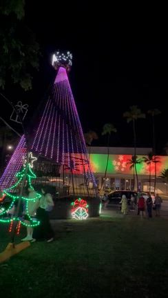 今年から始まった新しい場所でのHonolulu City Lights♪の記事動画