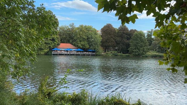 いいもの発見の記事動画