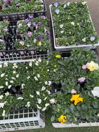 2026/02/26の記事動画