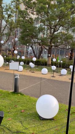 12月デート！紅葉もイルミネーションもある六本木ミッドタウンの記事動画