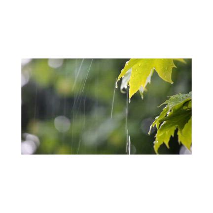 【代理参拝】運気アップのおすそわけ♪月初の神社参拝に行ってきました！の記事動画