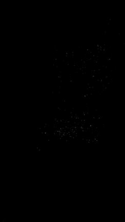 グランピング3️⃣チームラボの記事動画