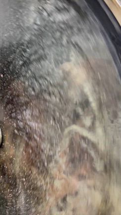 SPECIAL LEATHER!!の記事動画