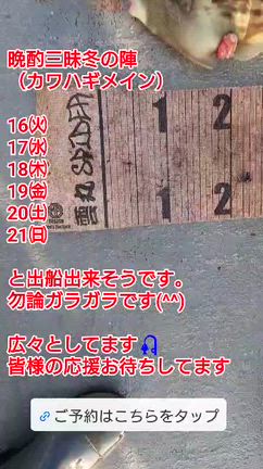 カワハギ今週は出船出来そうですの記事動画